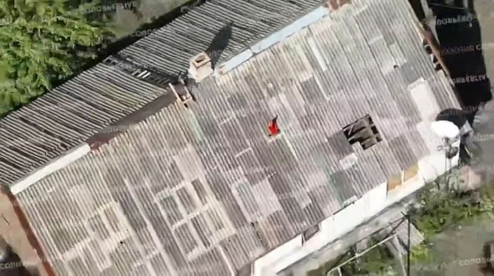 ���������� ������� ���������� ���������� ������ ������ � ��������� �� ���������� ����������� � ���