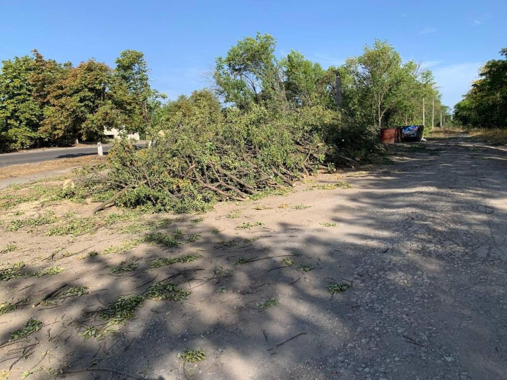 ��������� �������: � ����������� ��������������� ���������� ������