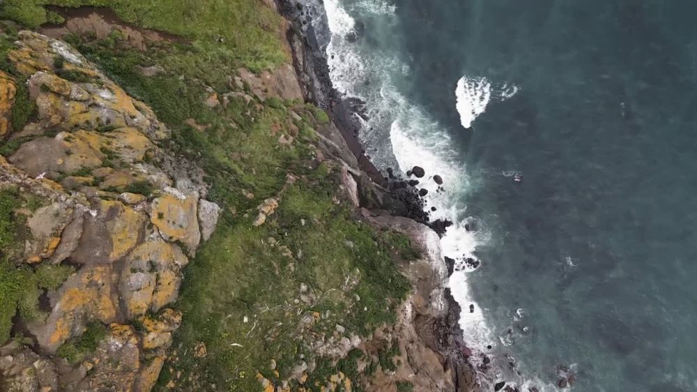 �� ��� ���������������� ����� ������ ����� ��� ����, ������-���ܻ ��������� ������� ����������, SHAMAN, ���� ��������, ��������� �.�����, ��������� ������, �������� �������, ������ ������, ������ ������� �� ��������� � ������ 312�