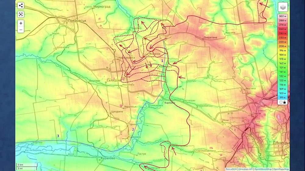 ���� ��������: ����� �� ������� (23.08.24): ��������-�����-������ � �������������� ����������� ������ ��������