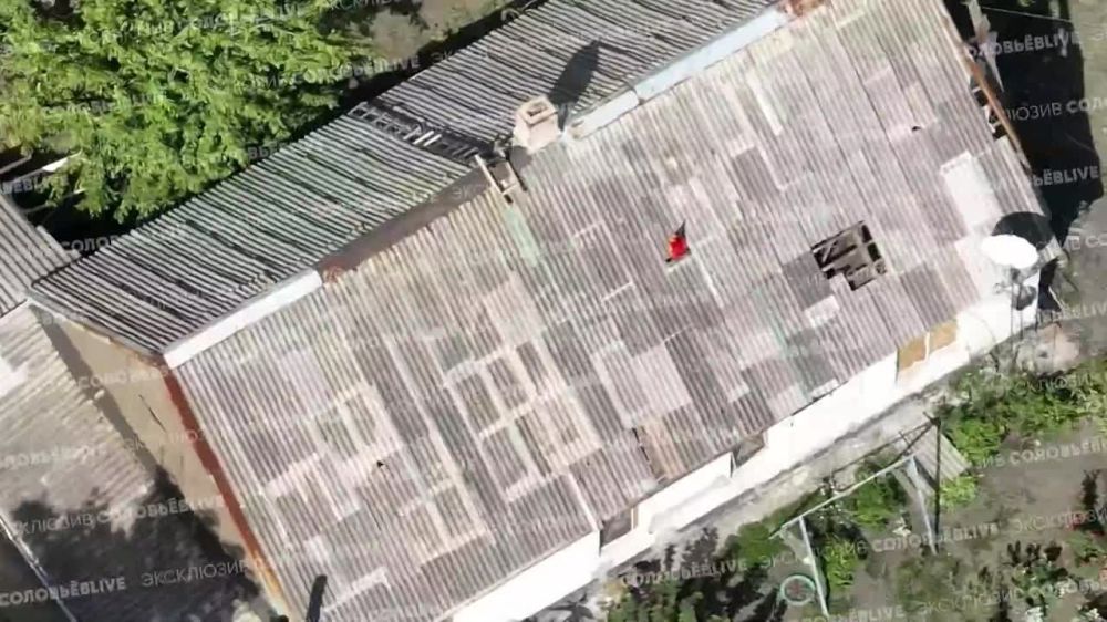 Юлия Витязева: Вражеские сводки. «На Покровском направлении в поселоке Птичье ВС РФ показали, как устанавили свой флаг на крыше здания