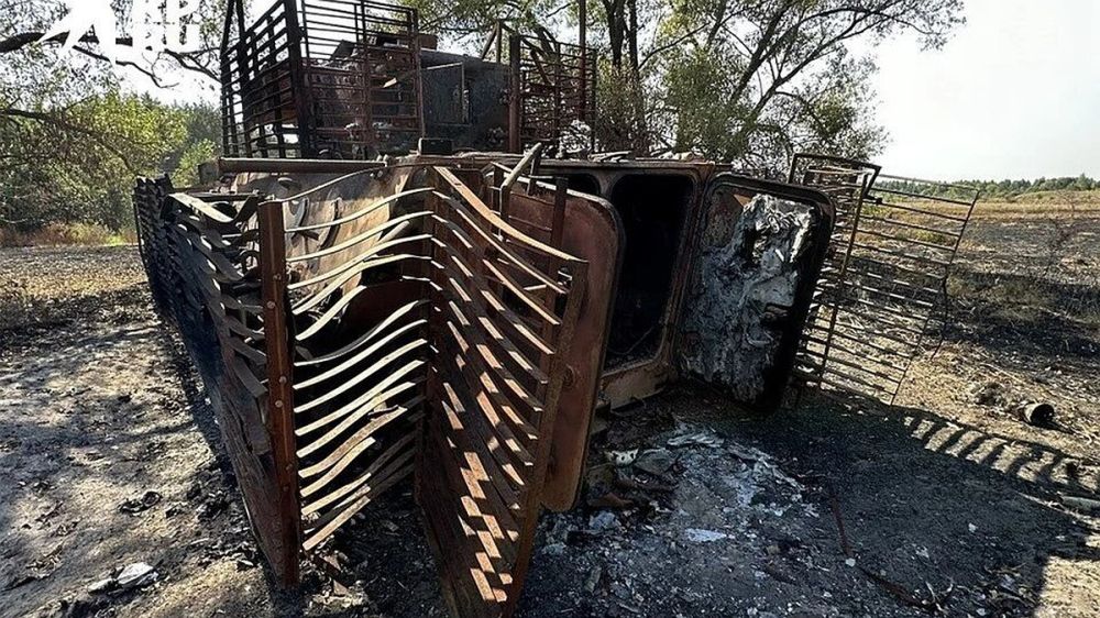 �������� ����� ��� �����������: ����� ������ ���������� ������� � ������ ���