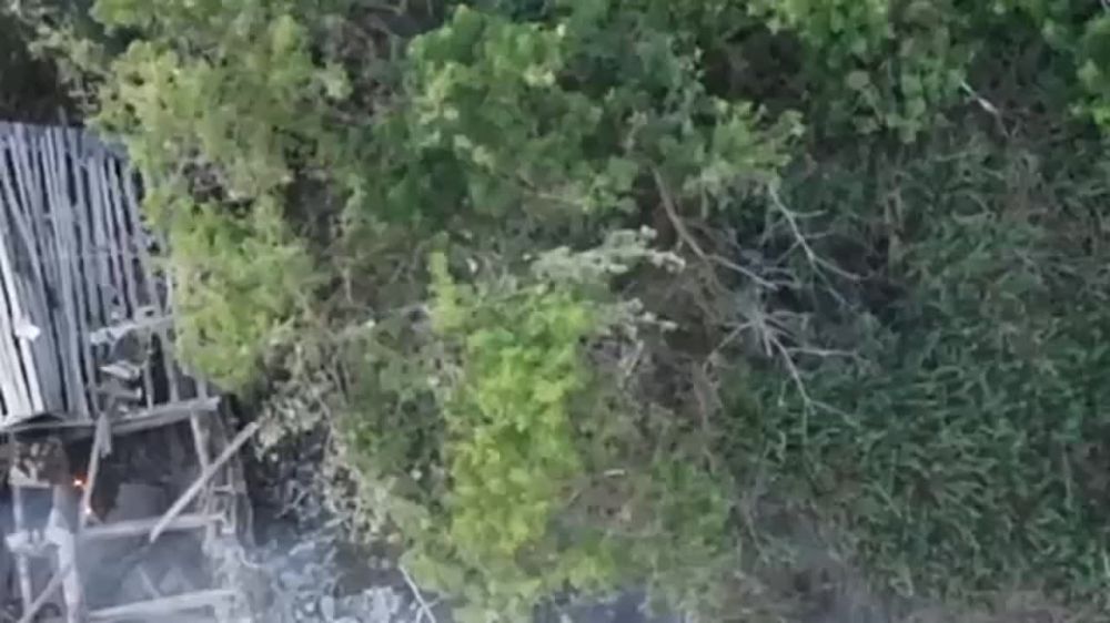 ����� �������� ��� �����, ��������� ��������� ���� ������� � ������