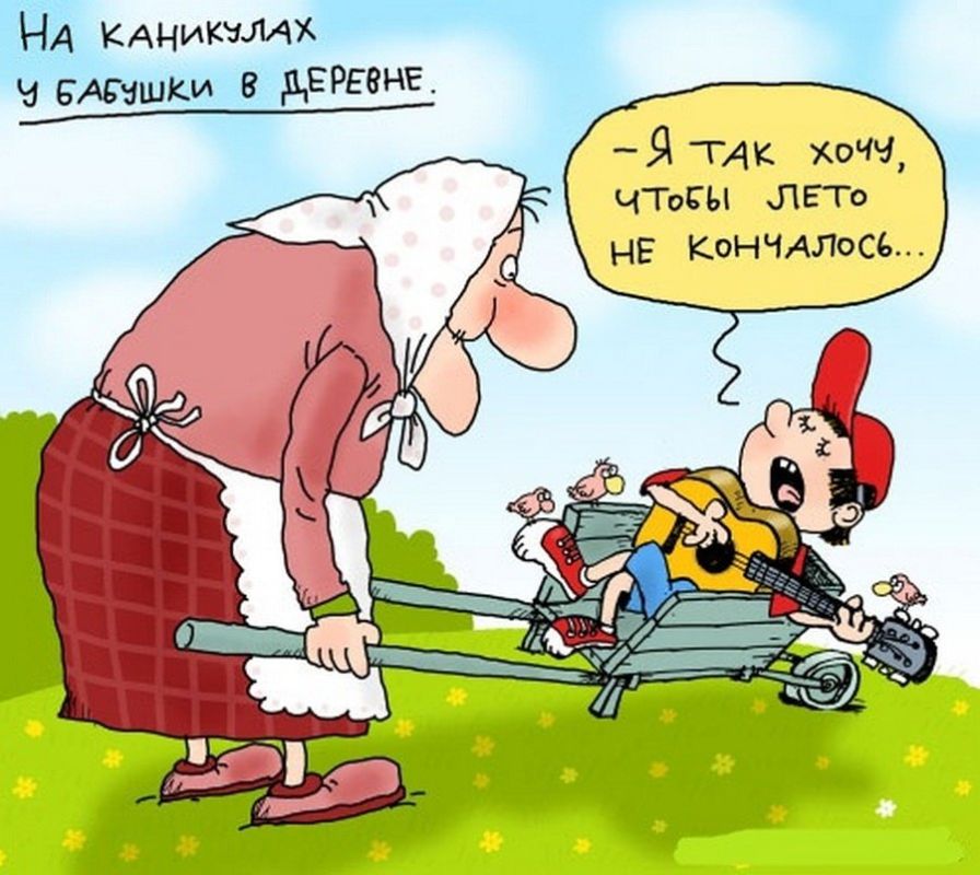 ������� �����. ��������� ���������-24