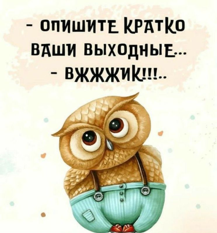 ������� �����. ��������� ���������-24