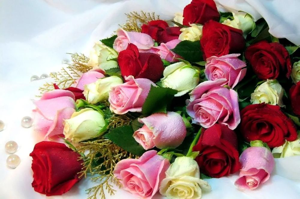 ��������� ������������� ������ ����������� ����� �������������� ����������� ������������� ������������� ����� ������� ���������� � ���� ��������!