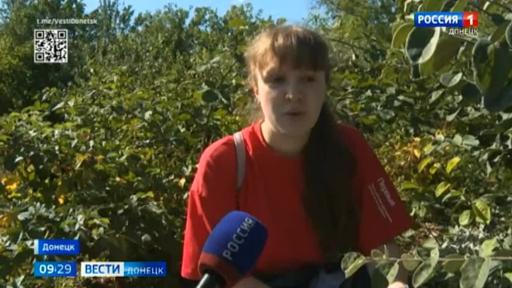 � �������� ������������ ���� ������ ��������� ��� ���������� ��������� �������