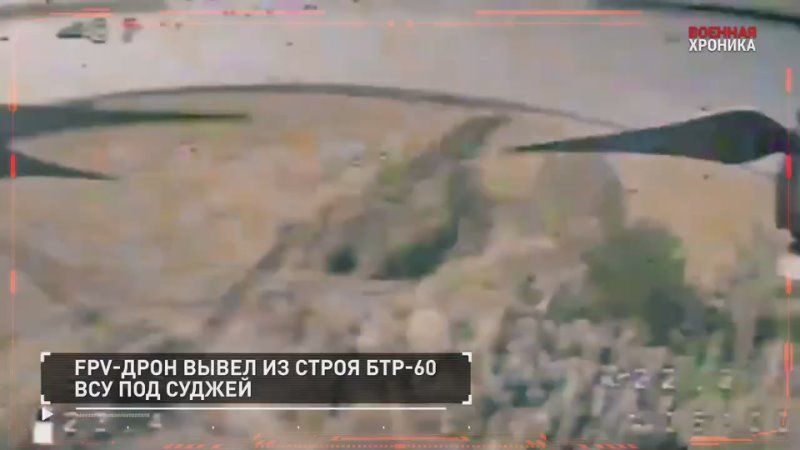 ��������� ��������: ������� �������. ������� ������� �� 25 �������