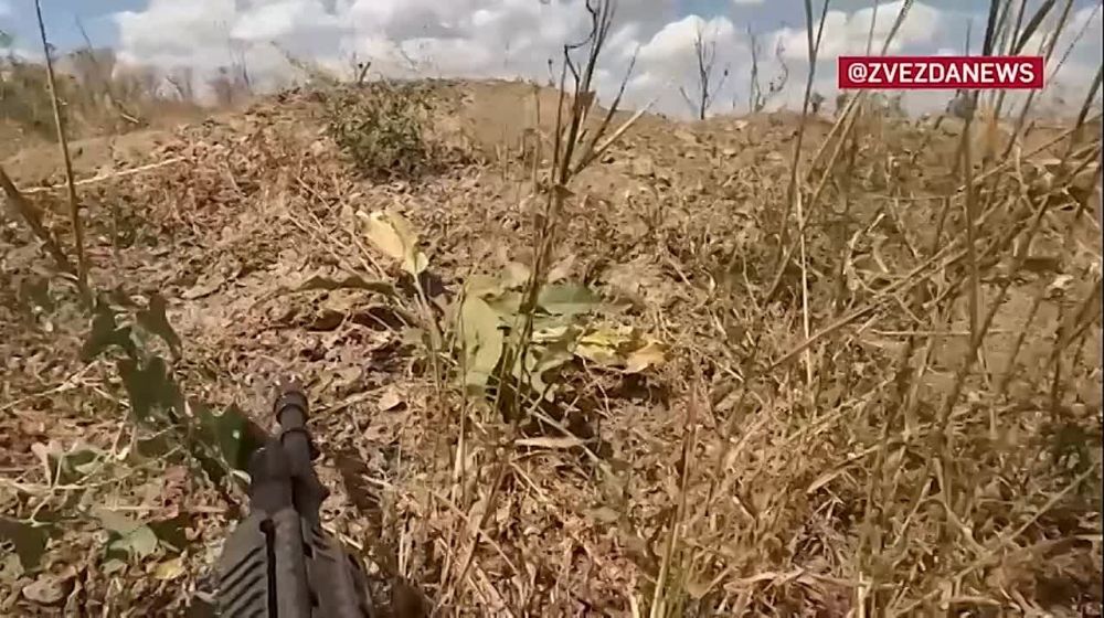 ��������� ������������� ����������� ����� ������� ������������ � ����������� �������������� �� ����������� ������� ����-��������� �����������