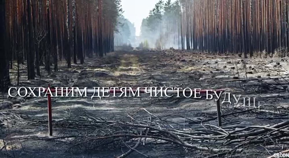 � ���������� ������������� ������ ����������� ������ ������������ �������� ���������
