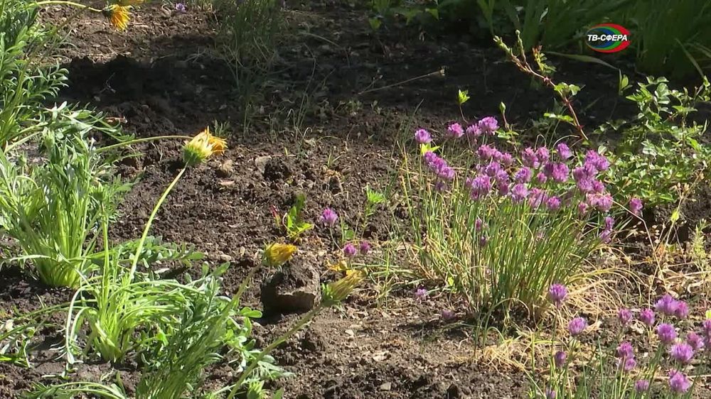 ������������� ����� ����