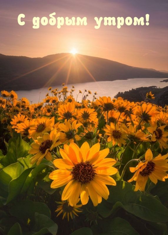 ������� �������: ������� ������������ ��������� �������� ���� �� ������ ���������� - ������� ��������� ����������