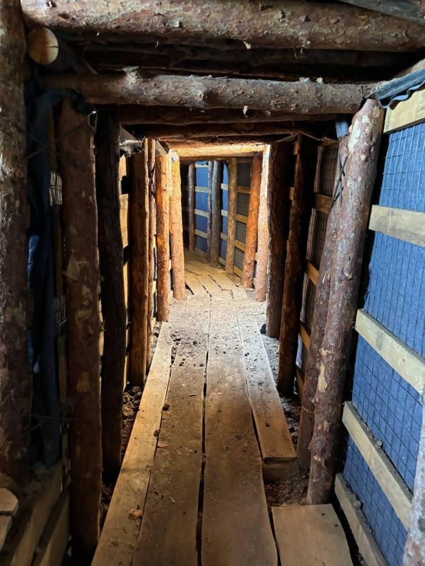 Нардеп Рады Марьяна Безуглая заявила, что ВС РФ взяли Новогродовку и зашли в Селидово на Покровском направлении