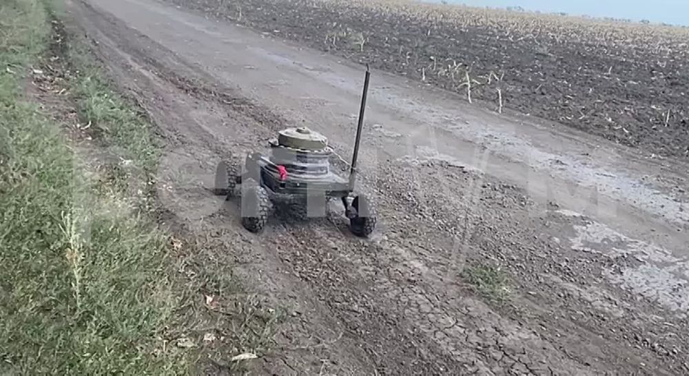 ������ ��������: ���� ������ ��������� ����� ������ ������� � �������� ���