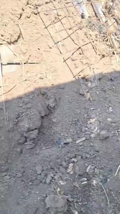 ����-�������� ����������� � �����, ������ �������-������� �� ������� � ��� ��������