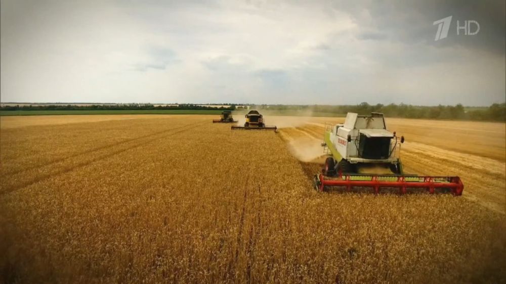 ������� � ���� �� ������ ��������, �� � ��������