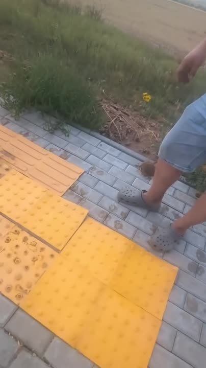 �������������� ����������. 20 �� �� ����� ������. ����������