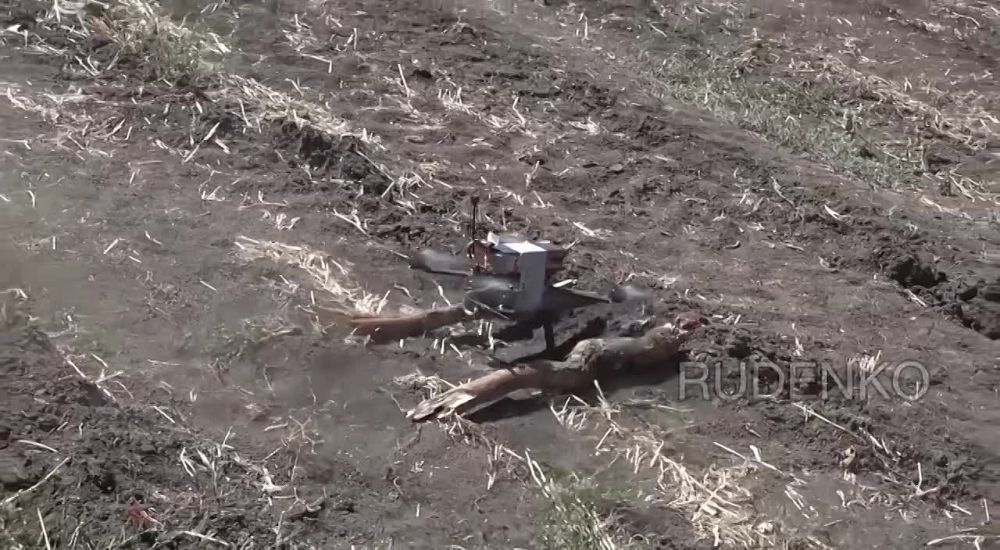 ������ �������: ��������� FPV-������ ������� ������� ������ ��� ���������� �������� ������� � ������ ������ ���������� �� ����������� ������� ���