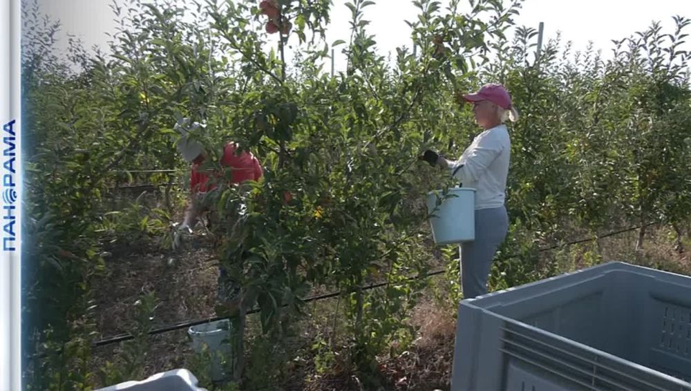 �������� ������ ����� ����� � ���� ������� ����� ���