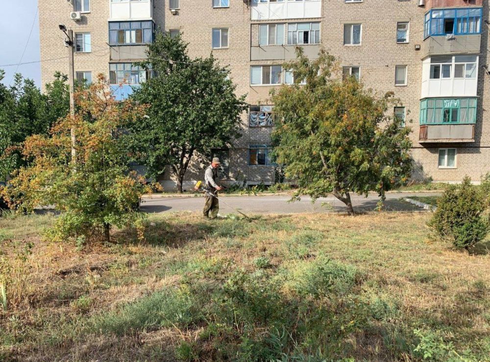 ��������� �������: � ����������� ������� ������ �� ������ ����������� ����