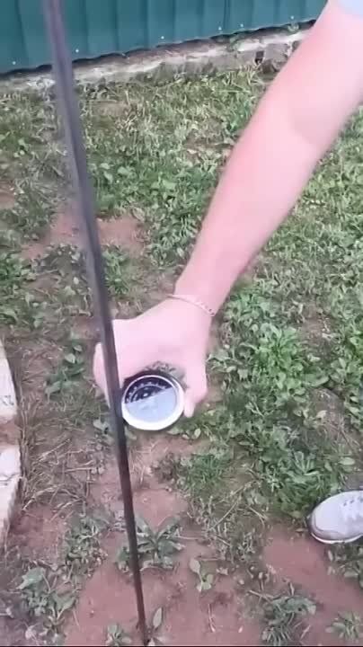 ��� ������ �� ����� ������� ����?