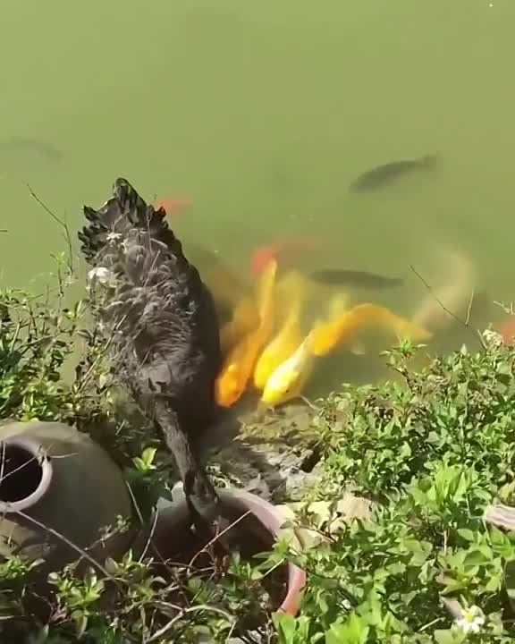 � ������ �����, ���������!