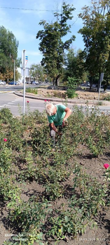 ������� ������: ������� ������������ ��� ��� "����������� �������� ������������ ������ �.�������" � ��� ��� "����������...