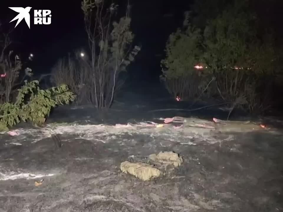 ��� ���������� ���������� ����� - ����� ����