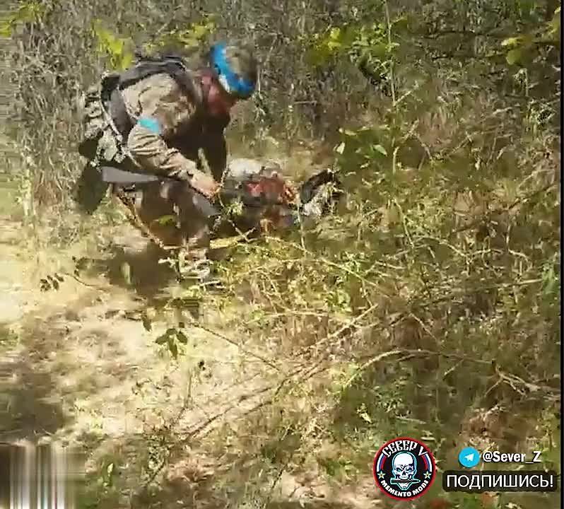 ��������� �������� ���������� ����� ���, �������� ������� ��������� � ����� ��������