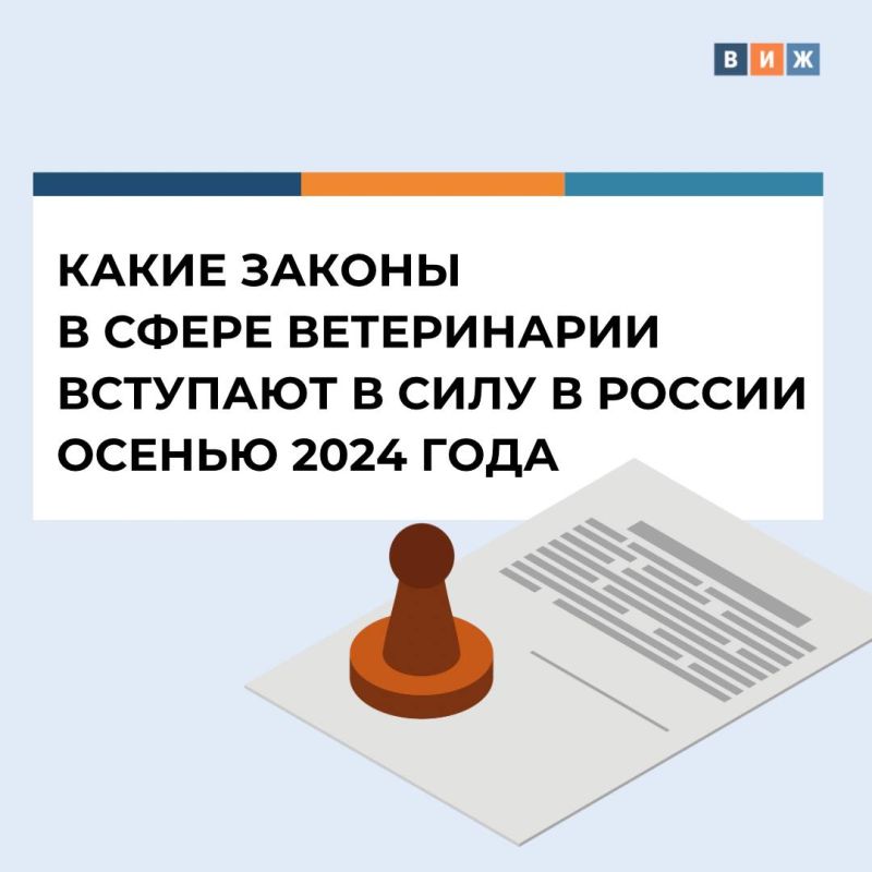 123 � 1 �������� �������� ���� � ������ ��� �������������� ������������ ���������� � ������ ��� �������� �������� ���������� ������������ ���������� ���������