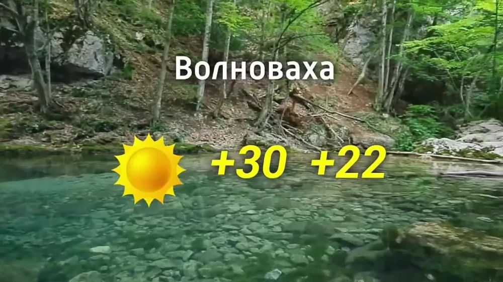 ������� ������ �� 31.08.2024