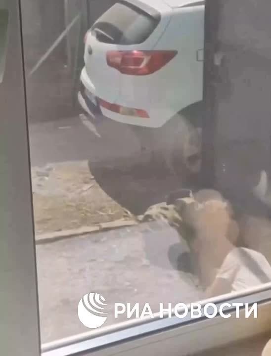 ���������� ������� � ����������� ������� ��������� � ��� �������� ������� ������, ������ ���, �������� ����������, ������� ������� � ������ ����, � ��������, �������� ��� ������� � ������������� �������� �������
