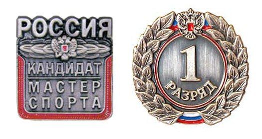 Вчера, 29 августа, Министерством молодежи, спорта и туризма ДНР подписан приказ о присвоении спортивных разрядов «первый спортивный разряд» и «кандидат в мастера спорта»