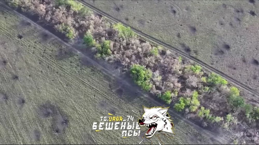 �������� FPV-����� ��������� ���� ���� �������� �� ���������� �����������