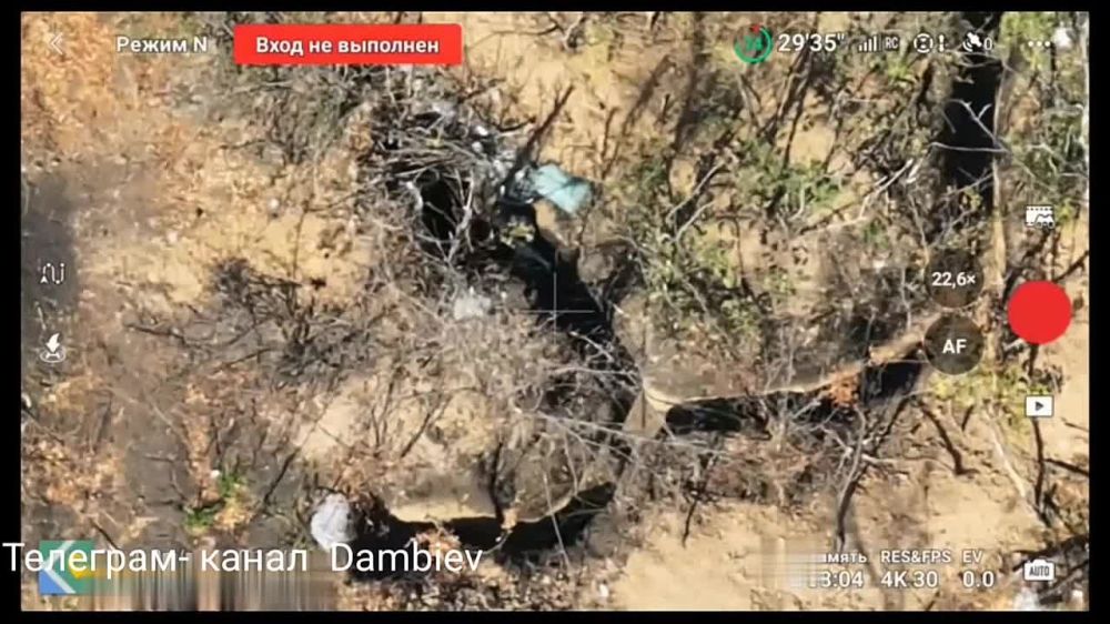 ������ �������: ��������� fpv-������ 14 ������� ��� �� �� ���������� ������ �� ������� ������� ���������� �� ����-�������� �����������