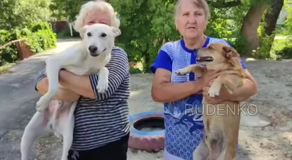 ������ �������: ��� �����. �������� ����� �� �������. ������ �����. �����