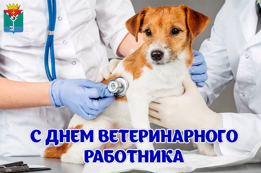 ��������� ��������: ��������� ��������� ������������ ������!
