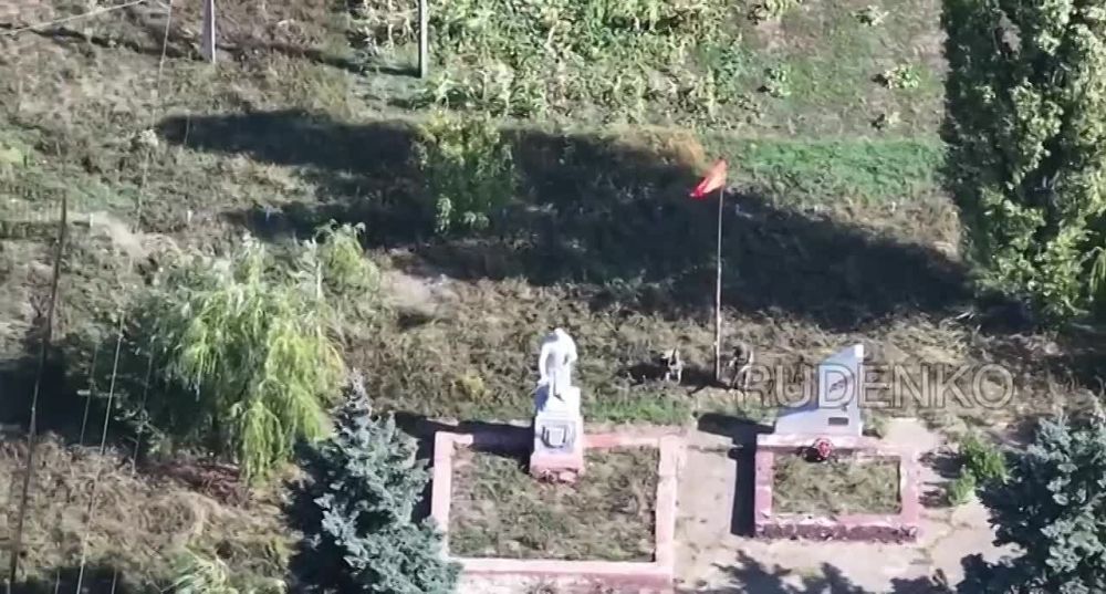 ������� �������: 114 �������, ��������� ��������, �������� � ��� �� ������ �� ����� ������ ���������� ����� �����������