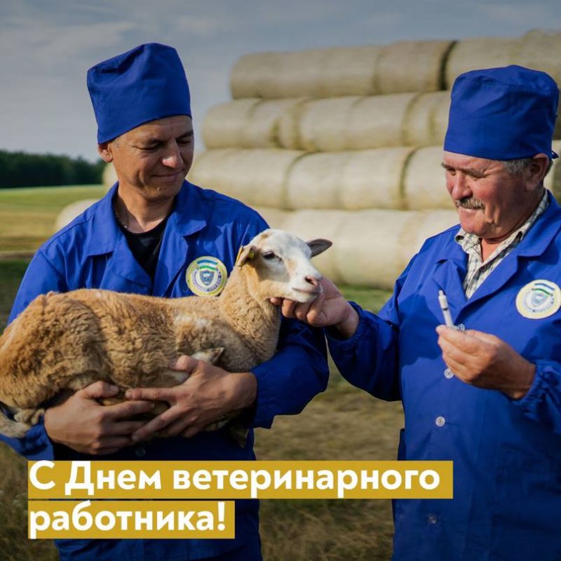 ����� ����������: ����������� ������ ������� ���� � �������� ����������������� ��������� �������� �������� ����������, � ����� � ����������� ������ �������� ������� ������ �������