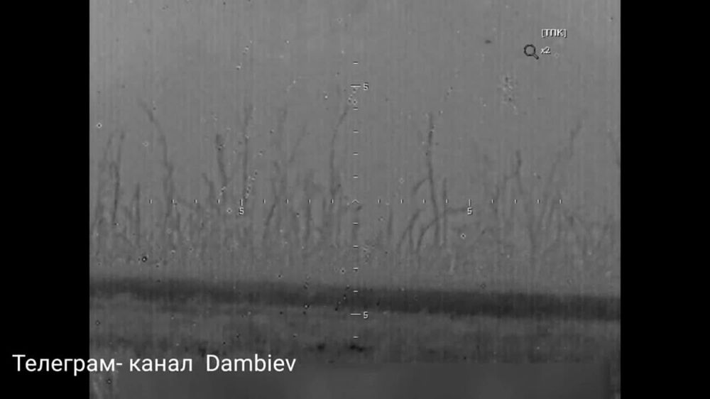 ������ �������: ������ ���� 14 ��������� ����������� ������� ������������ ���������� �� �� �������� � ����������� ������ �������� ��������� ������ �� ����-�������� �����������