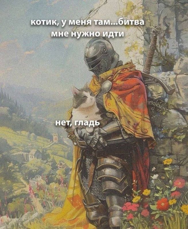 Дмитрий Стешин: Форбс жжет и немного издевается: «После взятия Новогродовки между российскими войсками и Покровском осталась лишь одна траншея, и неясно, сможет ли Украина направить достаточно сил для её обороны"