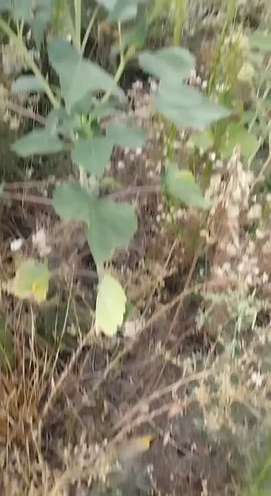 ������ �������: ���������� ������ ������������ Matrice 30T ��������� ������ �� ��������������� �������� "������" �� ����-�������� �����������