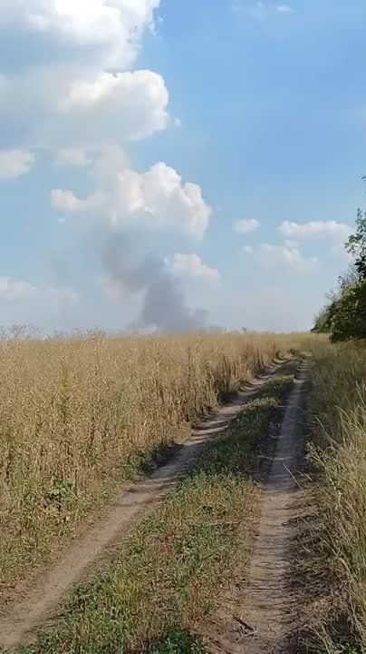 ������ �������: ����������� ��������������� �������� ������� ����������� ��������� ������� ��� �� ����-�������� �����������