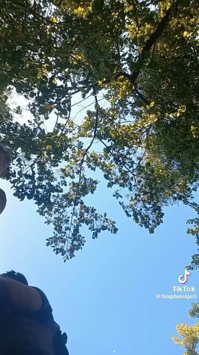 ������� �������: ������� ��� ����� �� ��������, ��� �� �������� ������ ����������� �����������