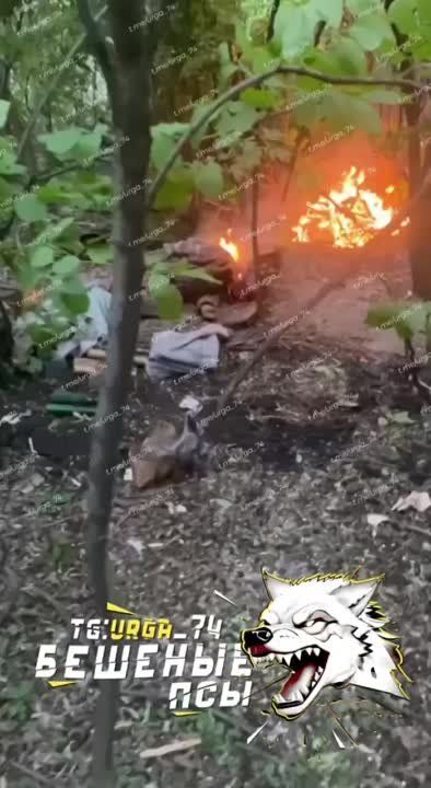 ������� �������: ��� ���� ������ ������� ������������ �� ���������� ����������� � ���