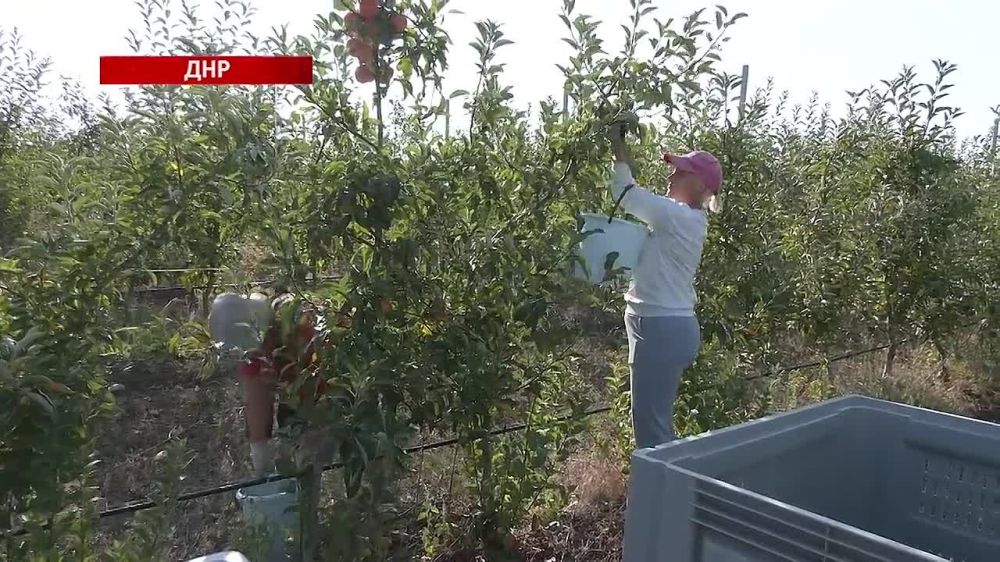 ������ ����� ����� ����� � ���������� ���� ����������