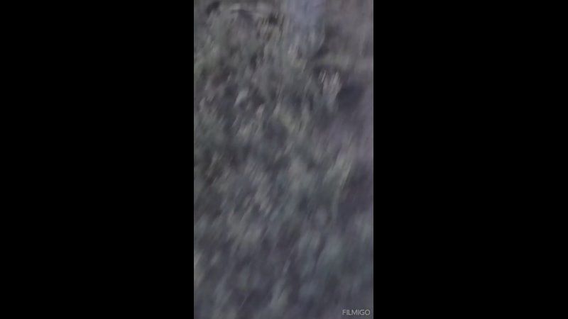 Борис Рожин: У Гродовки на Покровском направлении посадки завалены трупами боевиков ВСУ