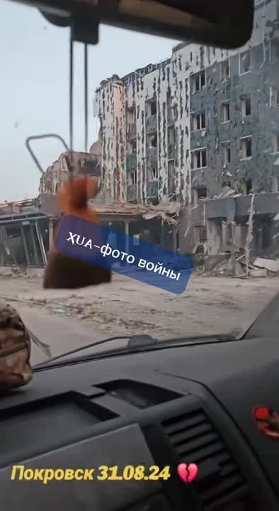 ����� �� ������������� ���������