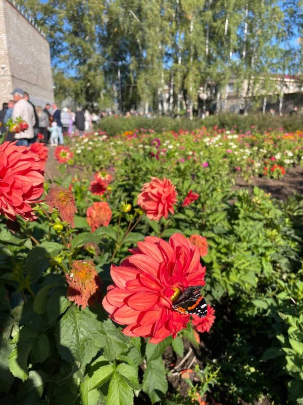 ��������� ��������: ���������� ���� � ������ ������� ���� � 2024 ����!