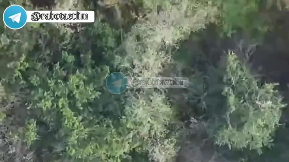 ������ �����: ��������� ���� �� 132 ������� �� �� ������� ������� ��������� ������� ������� ���������� �� ����������� �����������